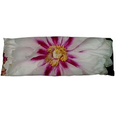 Floral Soft Pink Flower Photography Peony Rose Body Pillow Case (dakimakura)