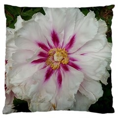 Floral Soft Pink Flower Photography Peony Rose Large Cushion Case (two Sides)