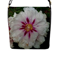 Floral Soft Pink Flower Photography Peony Rose Flap Messenger Bag (l) 