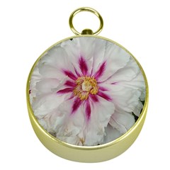 Floral Soft Pink Flower Photography Peony Rose Gold Compasses