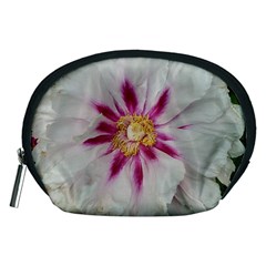 Floral Soft Pink Flower Photography Peony Rose Accessory Pouches (medium) 