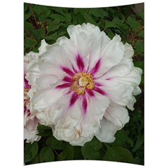 Floral Soft Pink Flower Photography Peony Rose Back Support Cushion