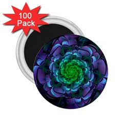 Beautiful Purple & Green Aeonium Arboreum Zwartkop 2 25  Magnets (100 Pack)  by jayaprime