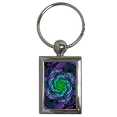 Beautiful Purple & Green Aeonium Arboreum Zwartkop Key Chains (rectangle)  by jayaprime