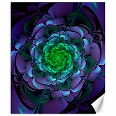 Beautiful Purple & Green Aeonium Arboreum Zwartkop Canvas 20  X 24   by jayaprime