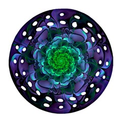 Beautiful Purple & Green Aeonium Arboreum Zwartkop Ornament (round Filigree) by jayaprime