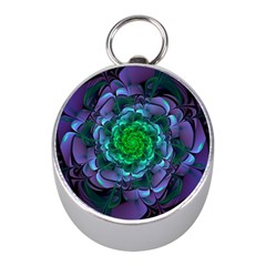 Beautiful Purple & Green Aeonium Arboreum Zwartkop Mini Silver Compasses by jayaprime