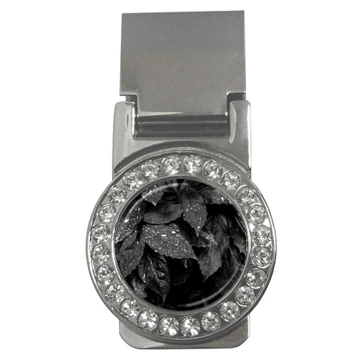 Black and White Leaves Photo Money Clips (CZ) 