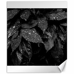 Black and White Leaves Photo Canvas 8  x 10 