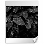 Black and White Leaves Photo Canvas 18  x 24   17.8 x23.08  Canvas - 1