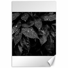 Black and White Leaves Photo Canvas 24  x 36 