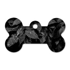 Black and White Leaves Photo Dog Tag Bone (Two Sides)