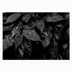 Black And White Leaves Photo Large Glasses Cloth (2-side)