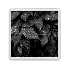 Black and White Leaves Photo Memory Card Reader (Square) 