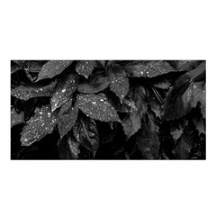 Black and White Leaves Photo Satin Shawl