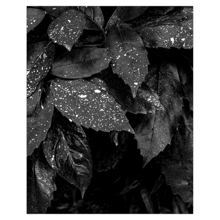 Black and White Leaves Photo Drawstring Bag (Small)