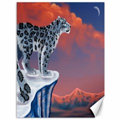 Lion Tigel Chetah Animals Snow Moon Blue Sky Canvas 36  X 48  