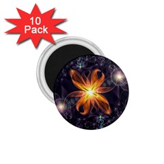Beautiful Orange Star Lily Fractal Flower At Night 1 75  Magnets (10 Pack)  by jayaprime