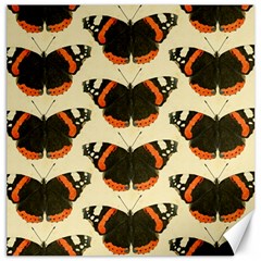 Butterfly Butterflies Insects Canvas 16  X 16   by Celenk