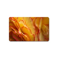 Flowers Leaves Leaf Floral Summer Magnet (name Card) by Celenk