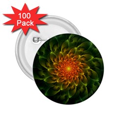 Beautiful Orange-green Desert Cactus Fractalspiral 2 25  Buttons (100 Pack)  by jayaprime