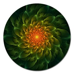 Beautiful Orange-green Desert Cactus Fractalspiral Magnet 5  (round) by jayaprime