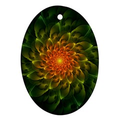 Beautiful Orange-green Desert Cactus Fractalspiral Oval Ornament (two Sides) by jayaprime