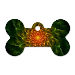 Beautiful Orange-green Desert Cactus Fractalspiral Dog Tag Bone (two Sides) by jayaprime