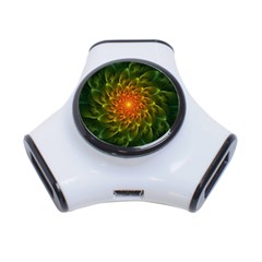 Beautiful Orange-green Desert Cactus Fractalspiral 3-port Usb Hub by jayaprime