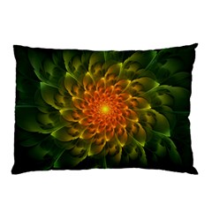 Beautiful Orange-green Desert Cactus Fractalspiral Pillow Case (two Sides) by jayaprime