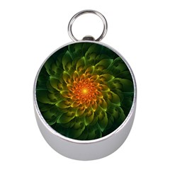 Beautiful Orange-green Desert Cactus Fractalspiral Mini Silver Compasses by jayaprime