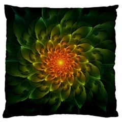 Beautiful Orange-green Desert Cactus Fractalspiral Standard Flano Cushion Case (one Side) by jayaprime