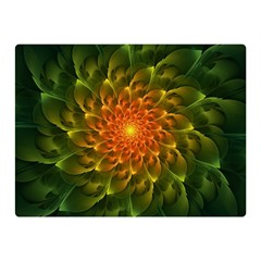 Beautiful Orange-green Desert Cactus Fractalspiral Double Sided Flano Blanket (mini)  by jayaprime