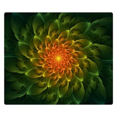 Beautiful Orange-green Desert Cactus Fractalspiral Double Sided Flano Blanket (small)  by jayaprime