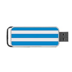 Blue And White Lines Portable Usb Flash (one Side)