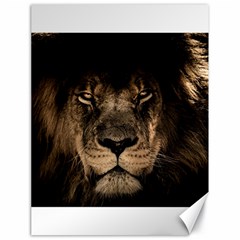 African Lion Mane Close Eyes Canvas 18  X 24   by Celenk