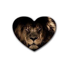 African Lion Mane Close Eyes Rubber Coaster (heart)  by Celenk