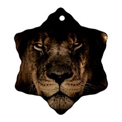 African Lion Mane Close Eyes Snowflake Ornament (two Sides) by Celenk