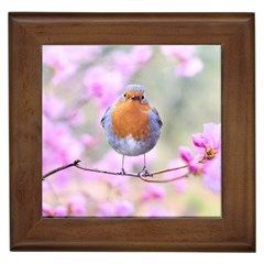 Spring Bird Bird Spring Robin Framed Tiles by Celenk