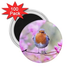 Spring Bird Bird Spring Robin 2 25  Magnets (100 Pack)  by Celenk