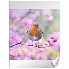 Spring Bird Bird Spring Robin Canvas 36  X 48  