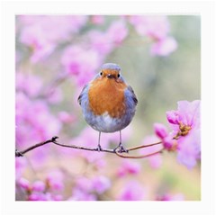 Spring Bird Bird Spring Robin Medium Glasses Cloth (2-side) by Celenk