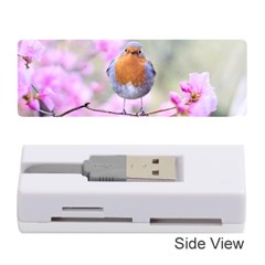 Spring Bird Bird Spring Robin Memory Card Reader (stick)  by Celenk