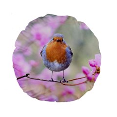 Spring Bird Bird Spring Robin Standard 15  Premium Round Cushions