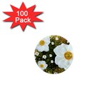 Summer Anemone Sylvestris 1  Mini Magnets (100 pack)  Front