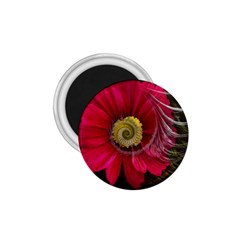 Fantasy Flower Fractal Blossom 1 75  Magnets by Celenk