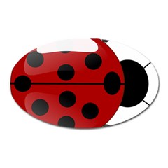 Ladybug Insects Colors Alegre Oval Magnet by Celenk