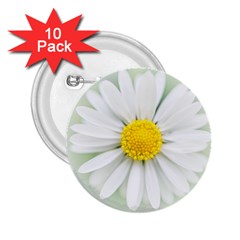 Art Daisy Flower Art Flower Deco 2 25  Buttons (10 Pack)  by Celenk