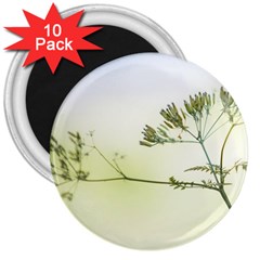 Spring Plant Nature Blue Green 3  Magnets (10 Pack)  by Celenk