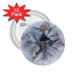 Winter Frost Ice Sheet Leaves 2 25  Buttons (10 Pack)  by Celenk